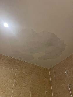 Next stage is to stain block ceiling