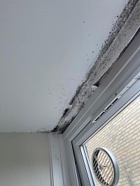 Build up of moisture in the kitchen causing black mold to appear