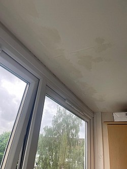 Mold washed and damaged areas of plaster/ paper removed and filled